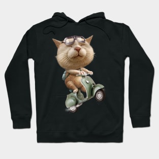 RUNAWAY CAT Hoodie